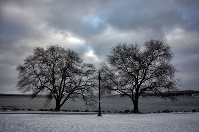 Bare trees on snow covered landscape against sky