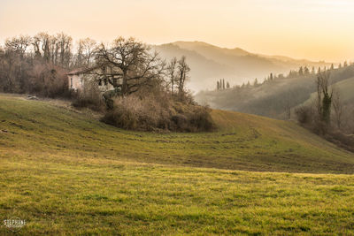 Scenic view of landscape against sky during foggy weather