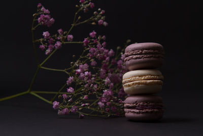 Close-up of purple flowers on table against black background