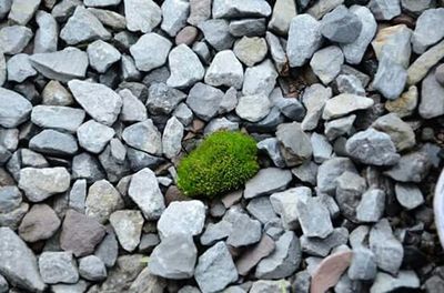 Full frame shot of pebbles