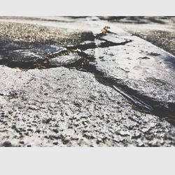 Surface level of sandy beach