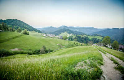 Scenic view of landscape against sky