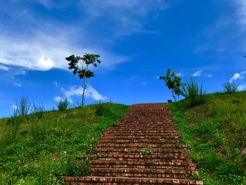 Low angle view of steps amidst trees against blue sky