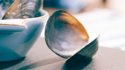 Close-up of oyster on table