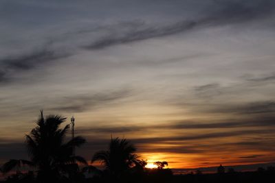 Silhouette trees against sky during sunset