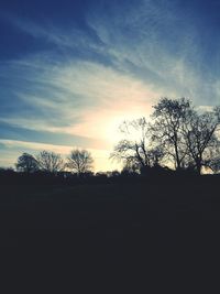 Silhouette trees against sky during sunset