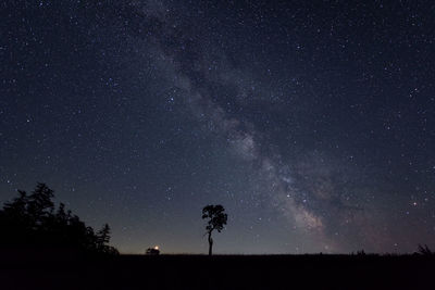 Milky way over lone oak tree