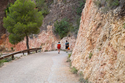 Rear view of people walking on mountain road