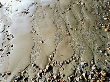 Ripples in sand