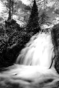 Waterfall in forest