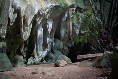 Close-up of icicles on rock formation