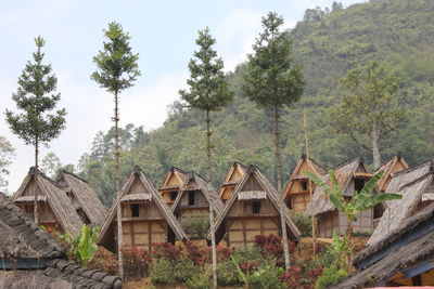 Panoramic view of trees and houses against sky