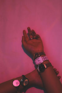 Close-up of hand holding pink roses against purple wall