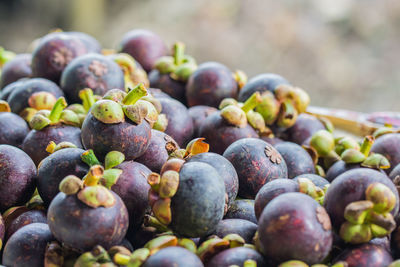 Close-up of mangosteens