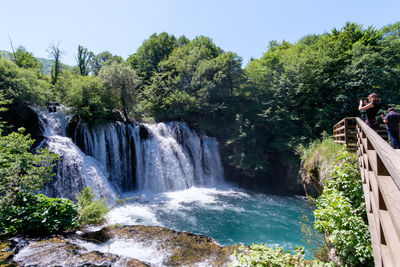 Scenic view of waterfall in forest