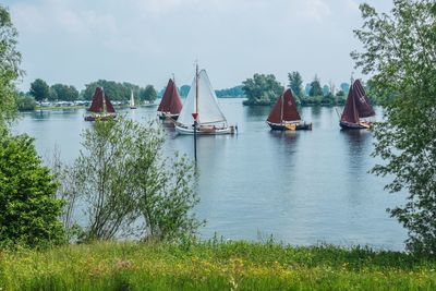 Sailboats moving on river at forest against sky