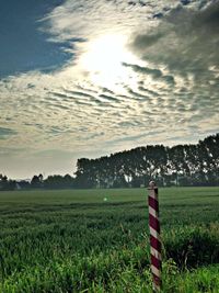 Scenic view of grassy field against cloudy sky