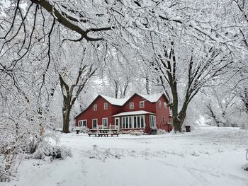 Low angle view of snow covered landscape with a red farm house surrounded by tall trees in minnesota