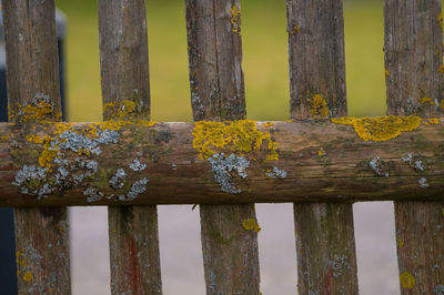 Close-up of wooden fence