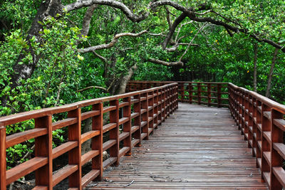 Wooden footbridge in forest