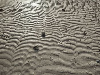 Full frame shot of wet sand