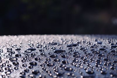 Close-up of raindrops on rainy day