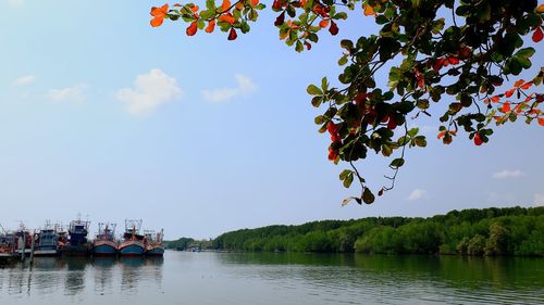 Scenic view of river against sky