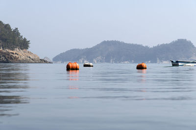 Scenic view of lake against clear sky