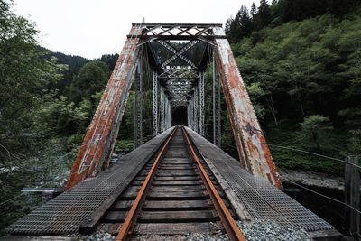 Railroad tracks amidst trees in forest