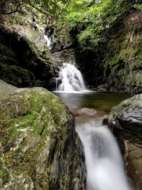 Scenic view of waterfall in forest