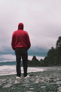 Rear view of man standing on beach