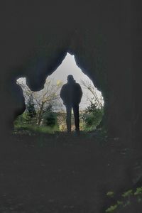 Rear view of silhouette man standing on field in forest