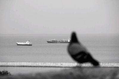 Man on sea against sky