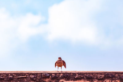 sky