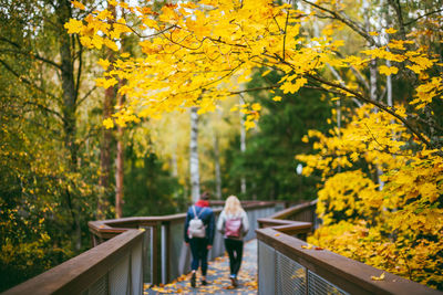 Rear view of female friends on footbridge amidst autumn trees