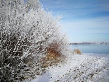 Sunday walk on the weser