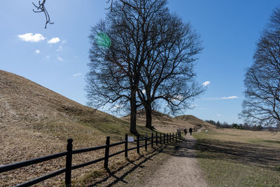 Trees on field against sky