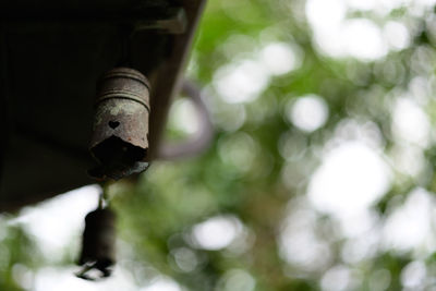 Low angle view of old light on tree