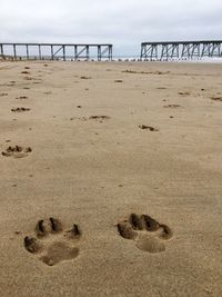 View of bridge on beach