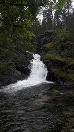 Scenic view of waterfall in forest