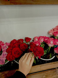 Low section of woman against red roses