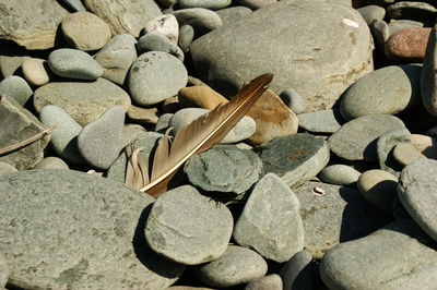 Full frame shot of pebbles