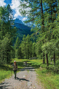 Rear view of woman walking on road amidst trees in forest