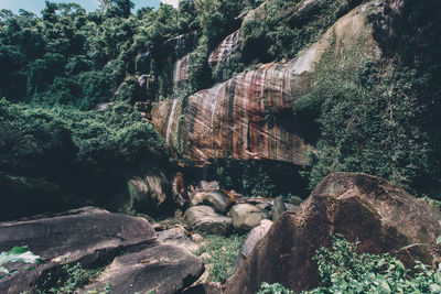 View of rocks and trees