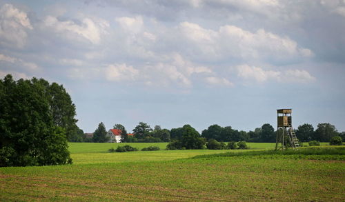 Scenic view of agricultural field against sky