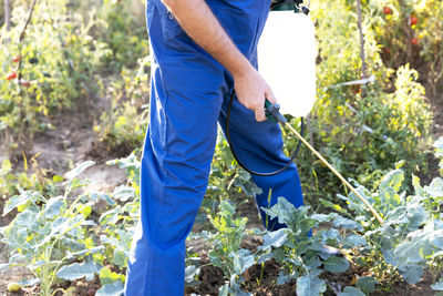 Organic vegetable garden pest control