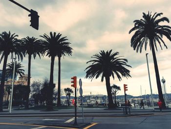 Palm trees on street against sky at sunset