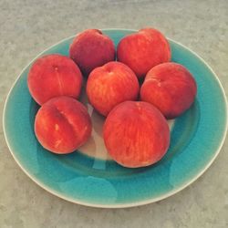 Close-up of food in bowl