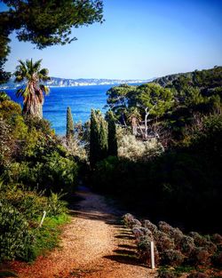 Scenic view of sea against clear sky