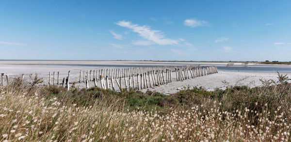 Scenic view of beach against sky